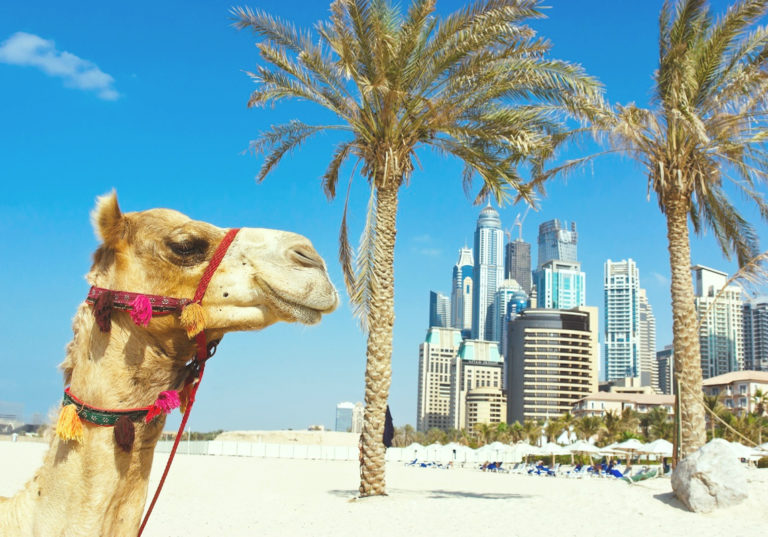 Čo treba vidieť v Dubaji? 12 tipov pre vašu dovolenku – II. časť