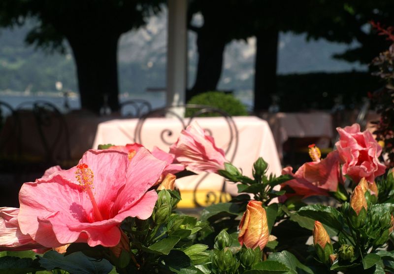 lago di como - čo vidieť